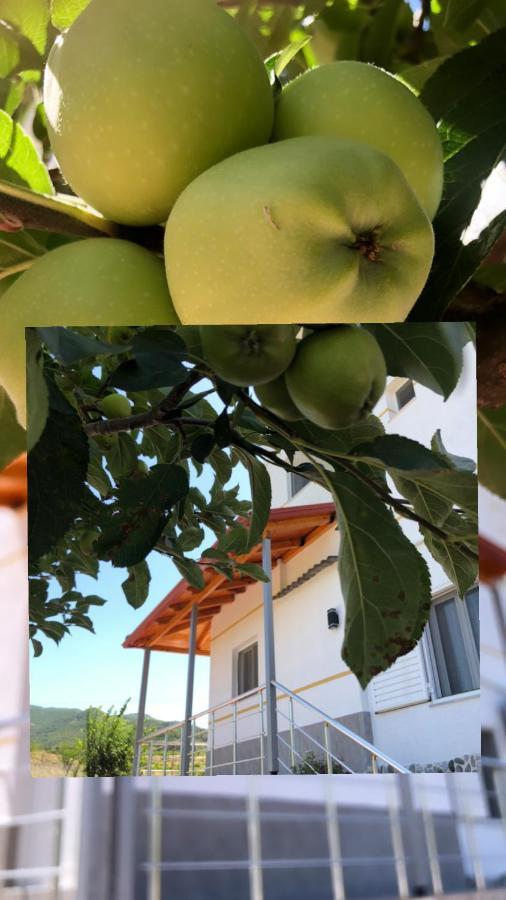 Hotel Apostoli Përmet Dış mekan fotoğraf