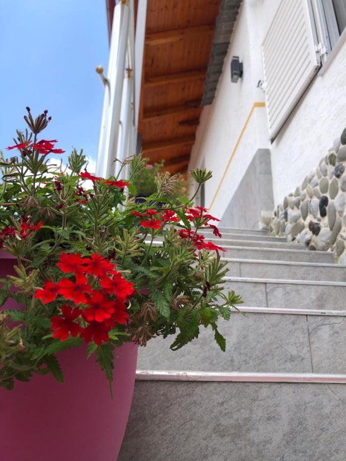 Hotel Apostoli Përmet Dış mekan fotoğraf