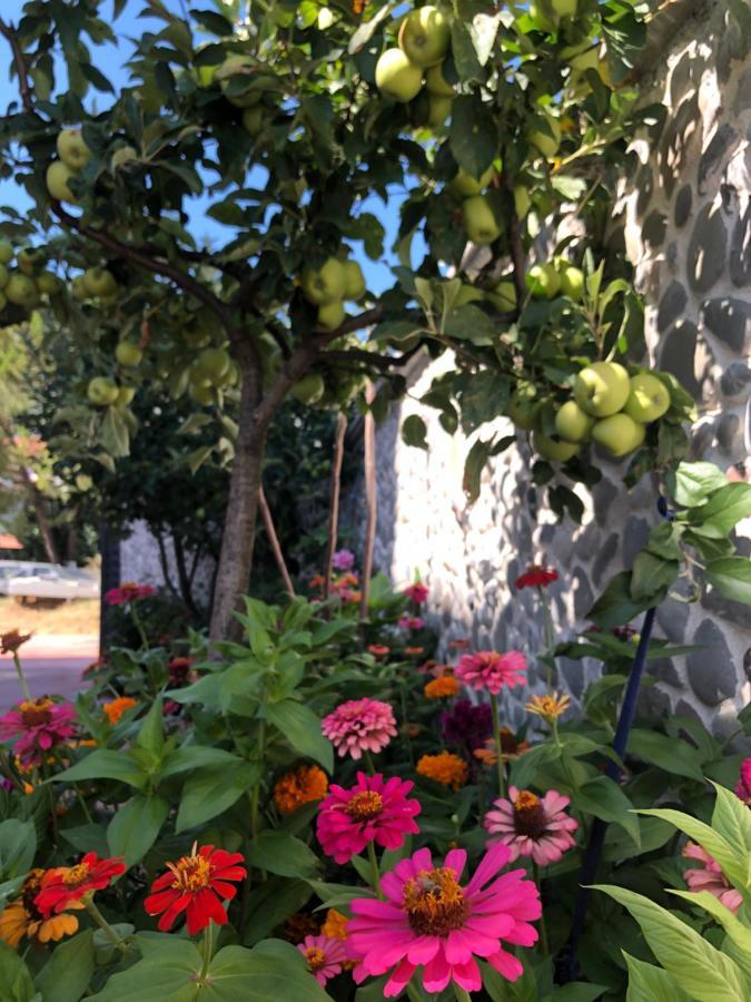 Hotel Apostoli Përmet Dış mekan fotoğraf